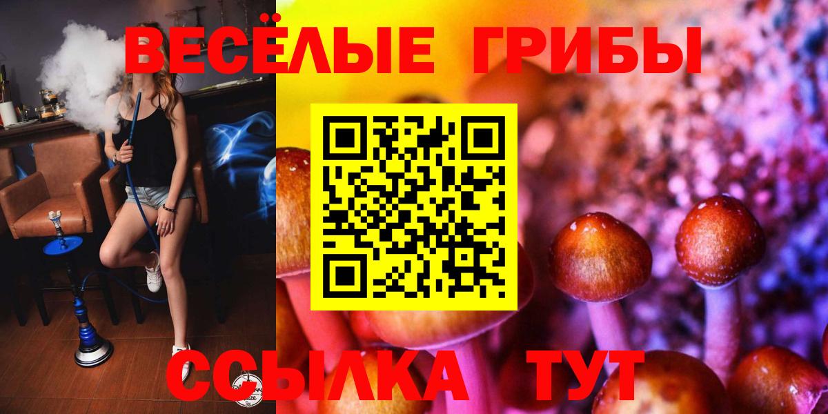 Псилоцибиновые грибы мицелий Чита